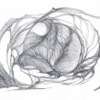 disegno03