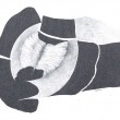 disegno04