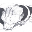 disegno07